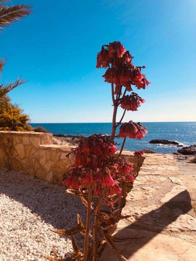 Villa Mangata Cuevas del Almanzora Εξωτερικό φωτογραφία