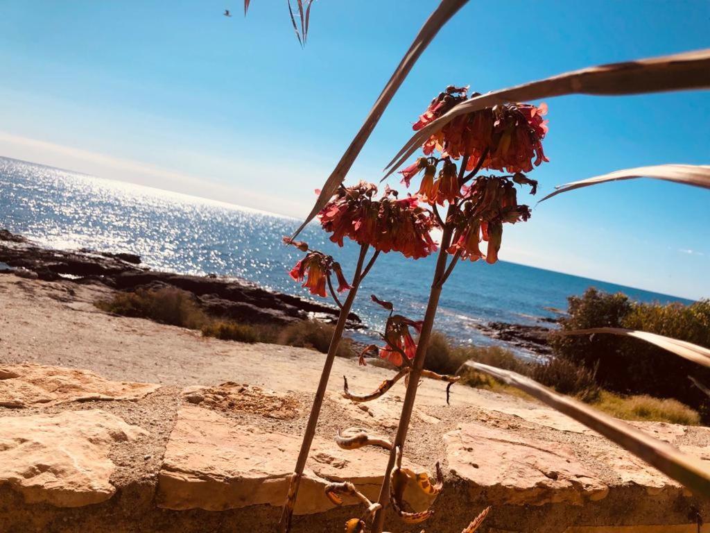 Villa Mangata Cuevas del Almanzora Εξωτερικό φωτογραφία
